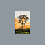 Akustikrahmen im Hochformat