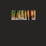 Leuchtrahmen im Panoramaformat